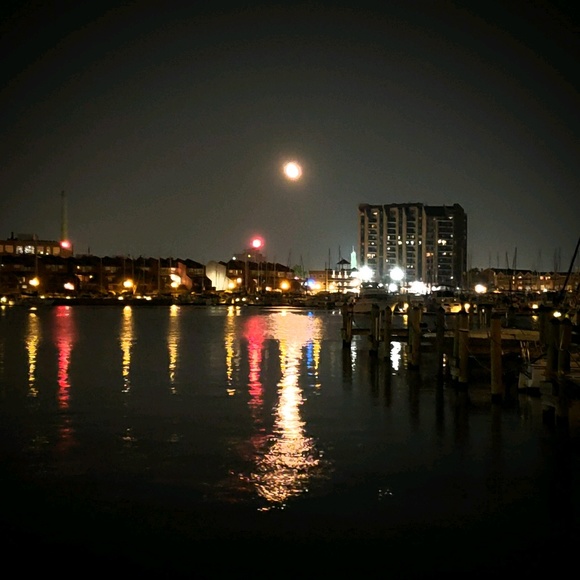 Meet your Posher, Wayne - Picture 1 of 1